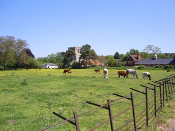 Streatley Meadows