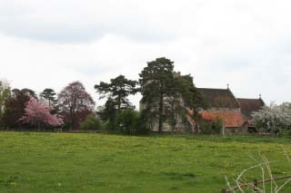 Streatley Meadows