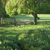 Looking from the mid section of the meadows towards Reading / Wallingford Road area