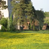 Looking from the front of Streatley Meadows towards St Mary's church