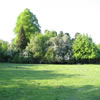 Looking towards the woodland section at the Cleeve Court end of the meadows